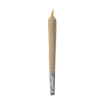 Cutleaf THCA FreshBox Pre-Rolls 6G