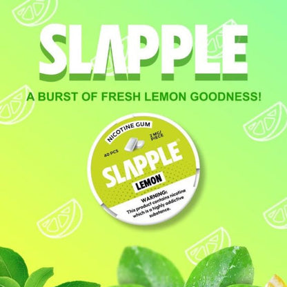 Slapple Nicotine Gum 40pcs 2ct